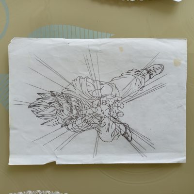 Goku (1/2)