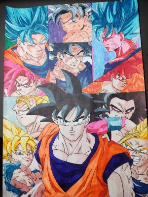 Goku - Wszystkie Formy