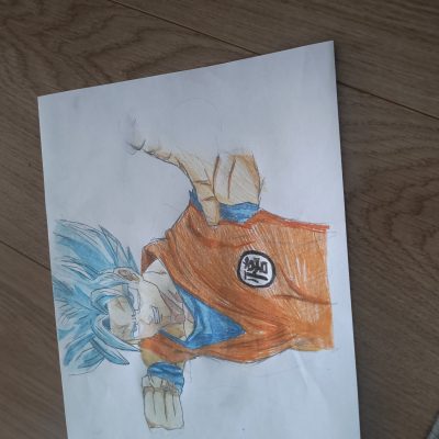 Goku ssj blue